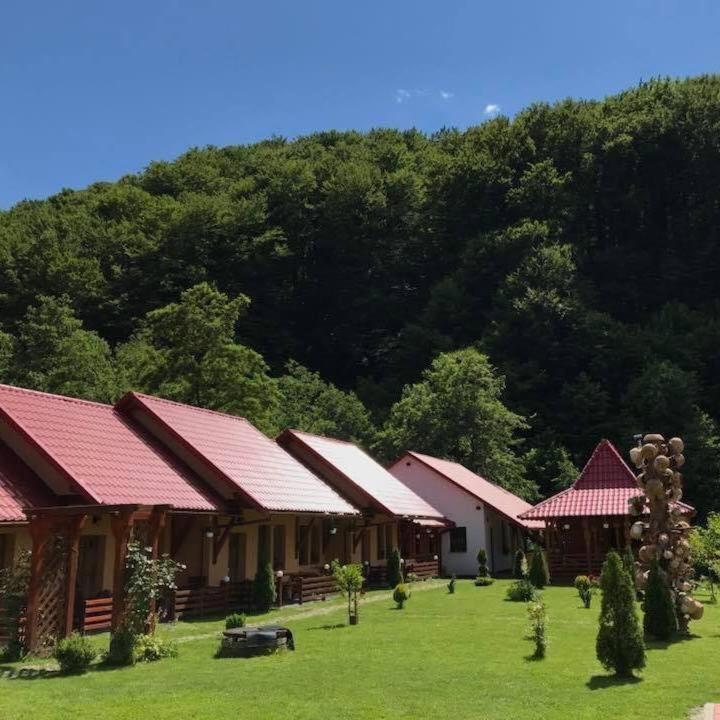 Patakmenti Panzió Spa Corund  Bagian luar foto