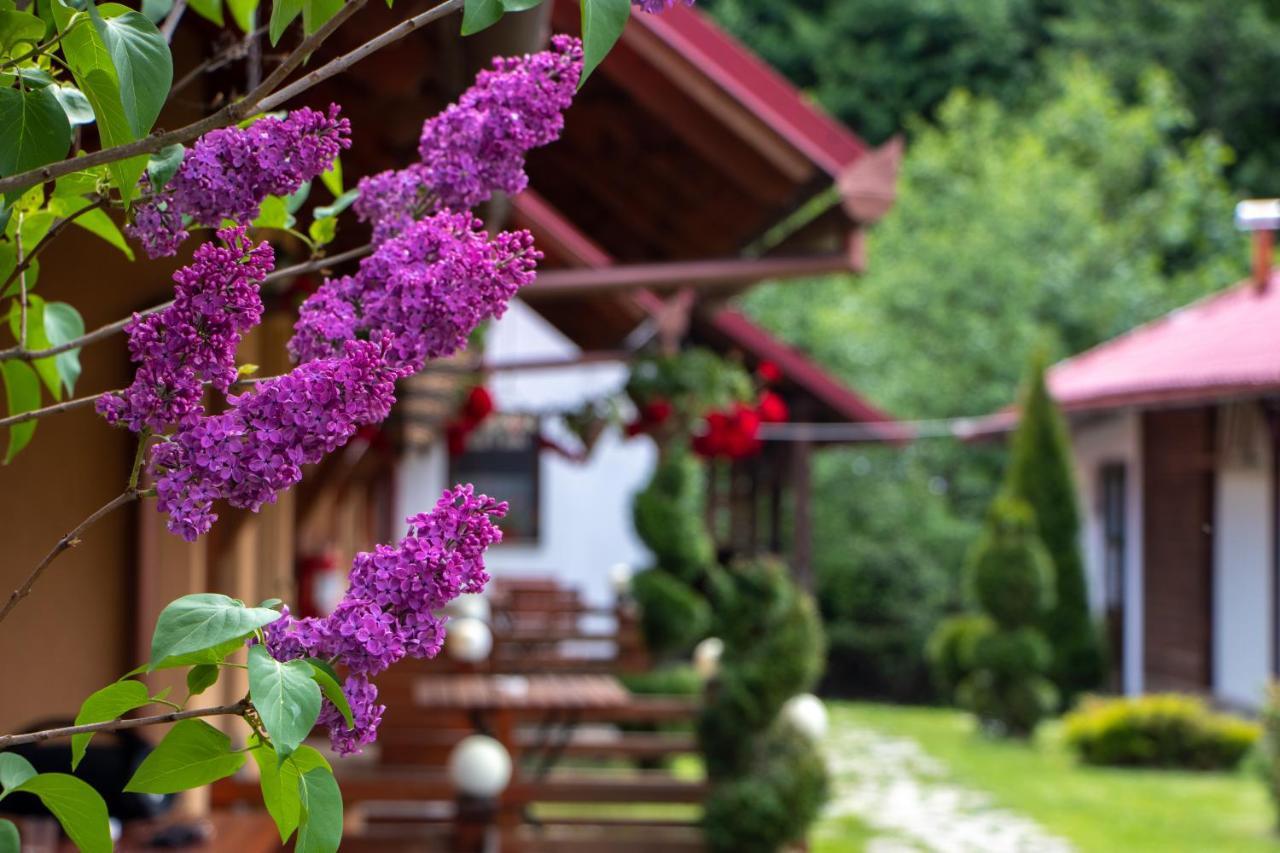Patakmenti Panzió Spa Corund  Bagian luar foto